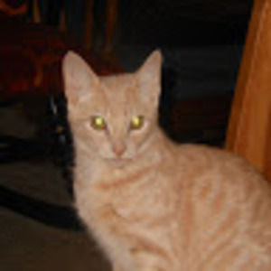 Meet your Posher, Mary ann